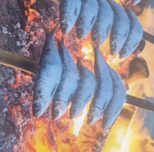 Boliches Panzió *